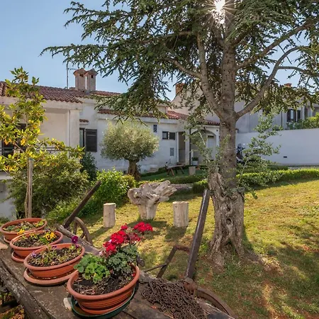 House Ingrid Apartment *